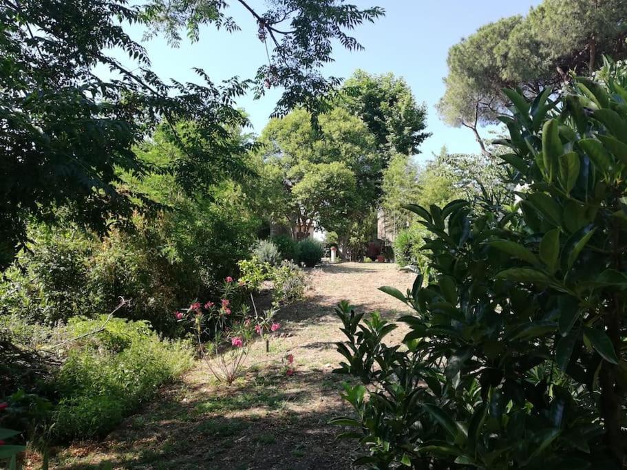 Appartamento Roma, מראה חיצוני תמונה